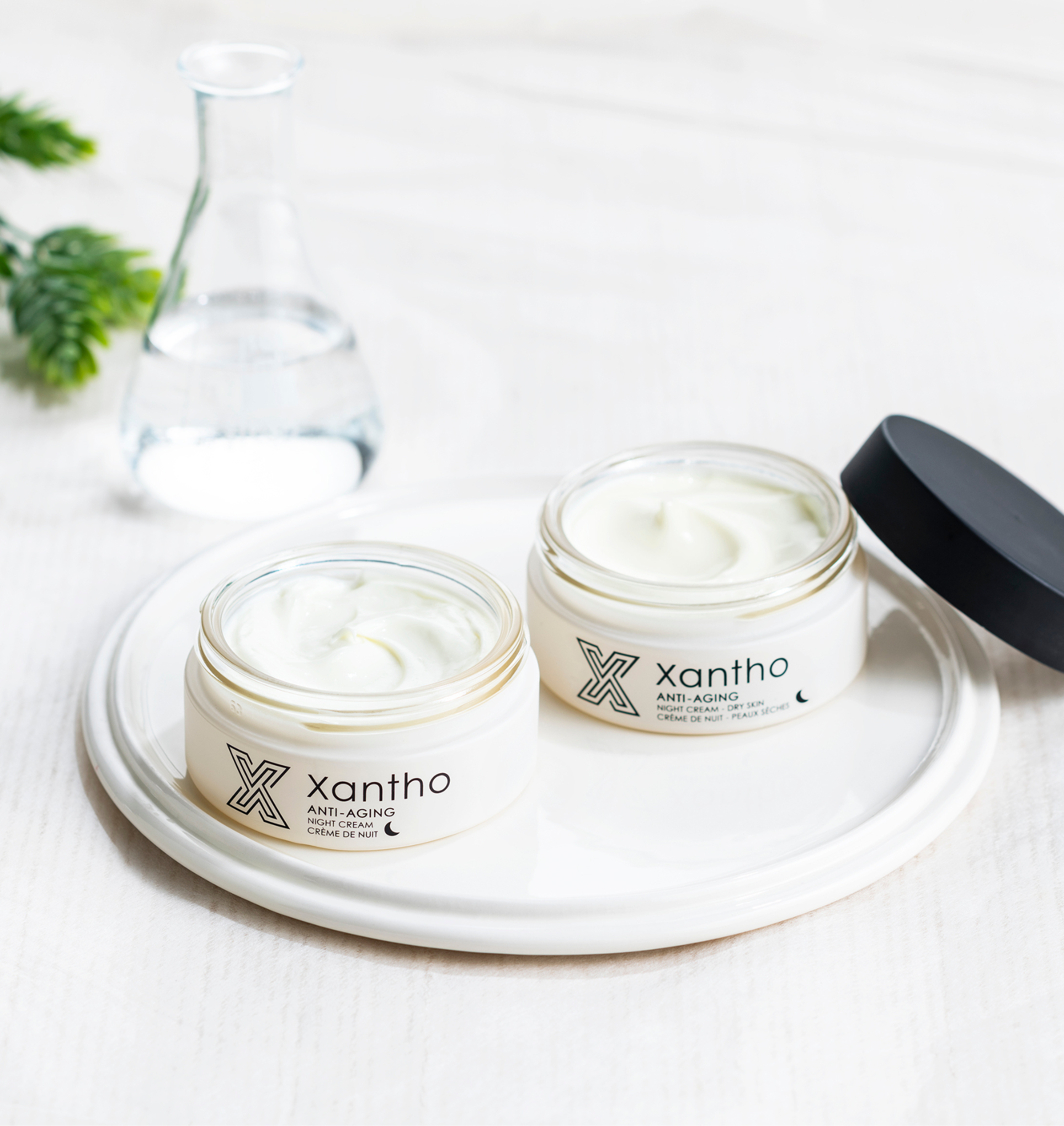 Night Cream - All Skin Types – Xantho Store BE