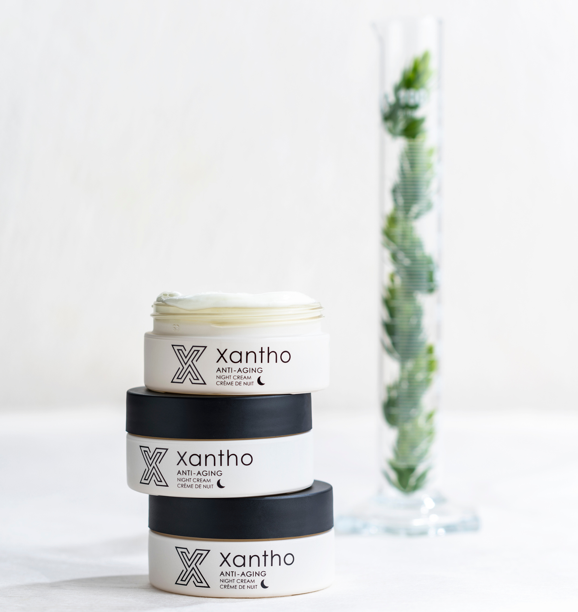 Night Cream - All Skin Types – Xantho Store BE