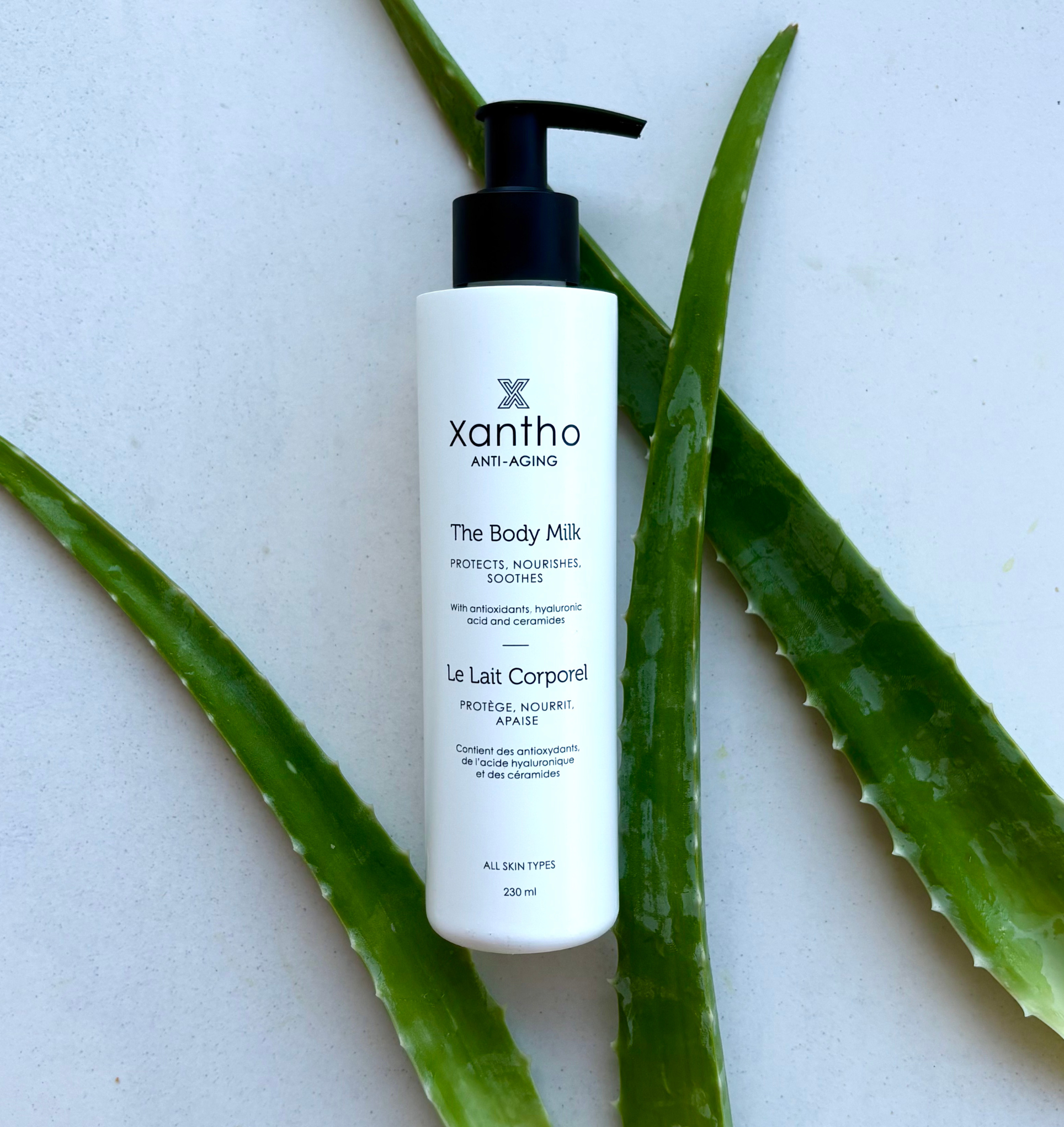 The Body Milk (free with summer promotion) – Xantho Store BE