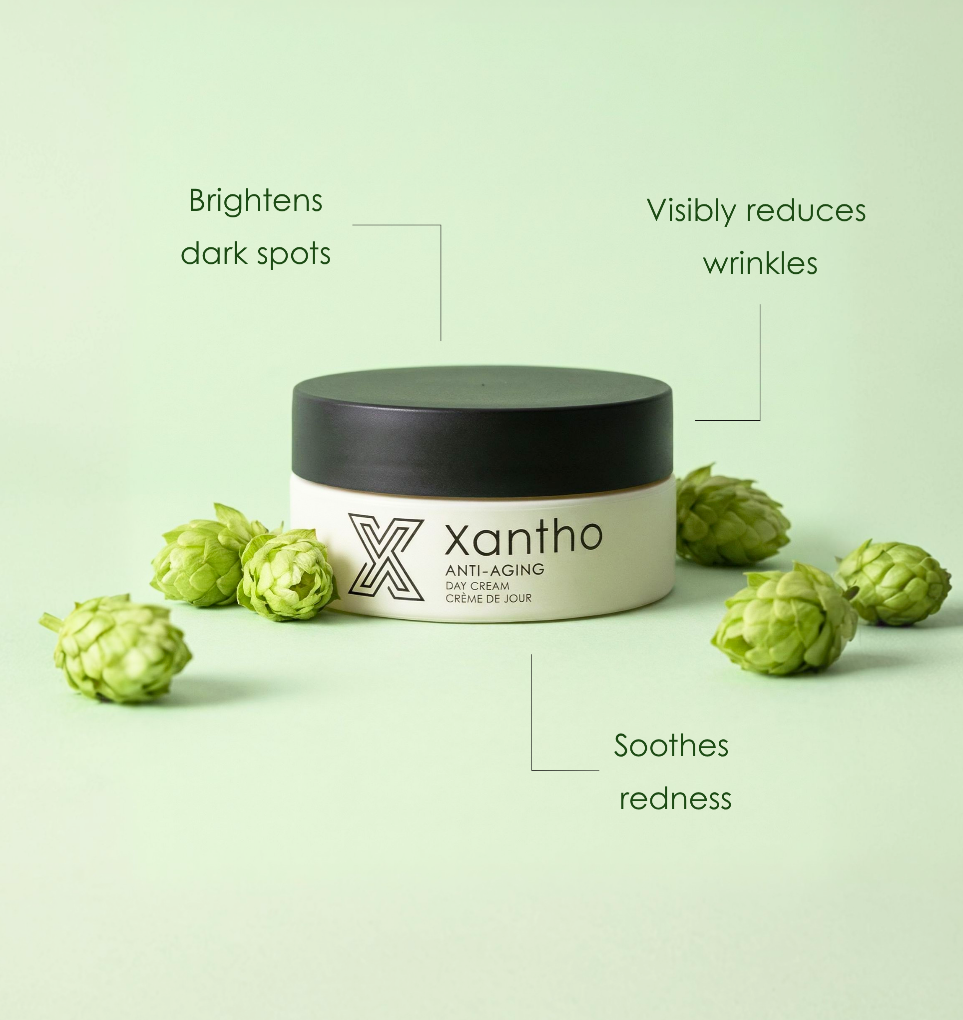Day Cream - Normal to combination skin