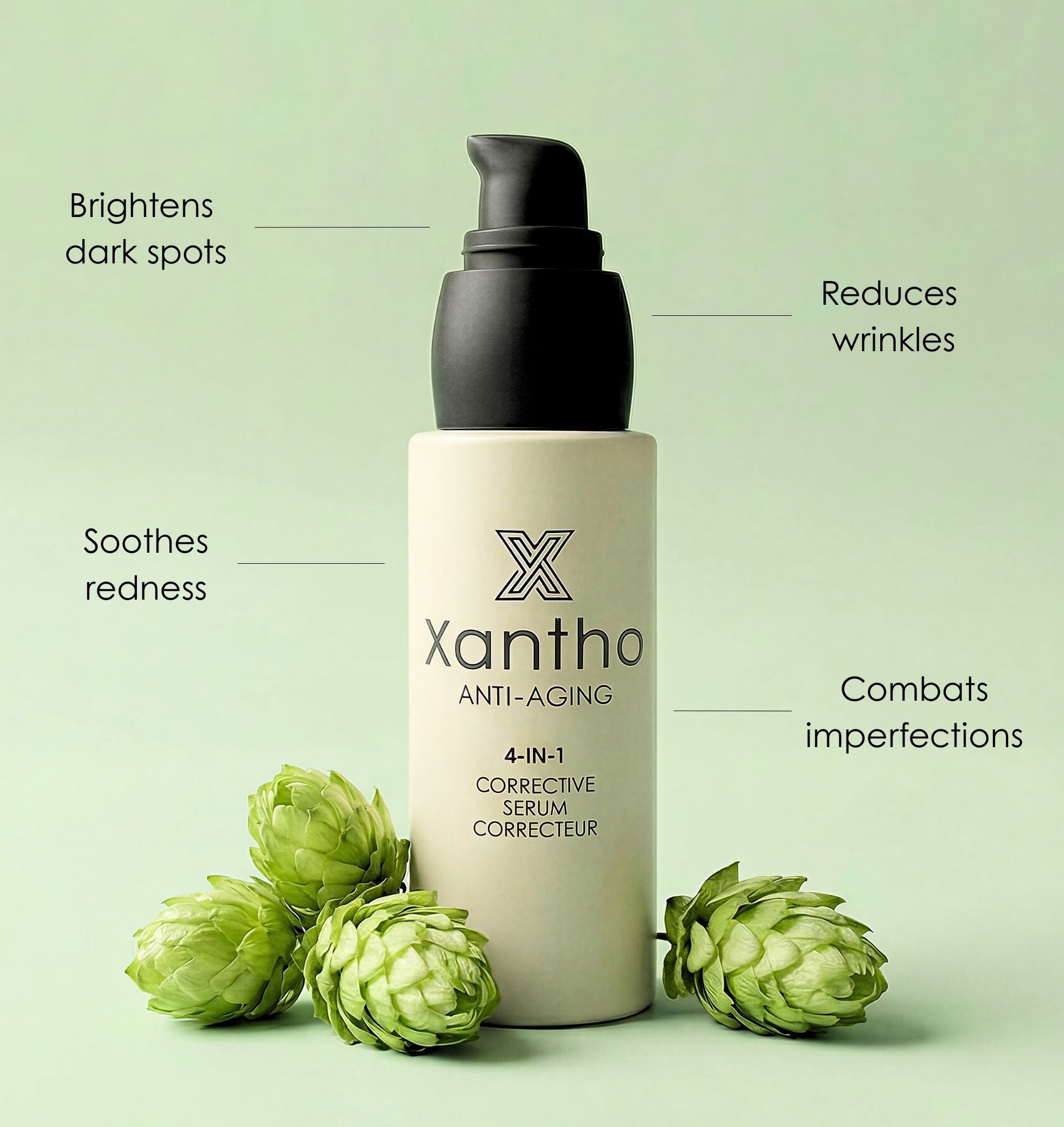 Xantho Online Shop – Xantho Store BE
